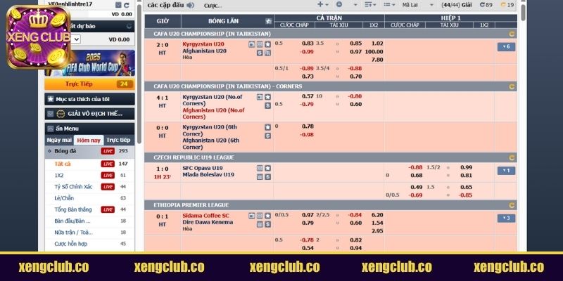 CMD Sports đối tác tin cậy tạo nên sảnh thể thao XENGCLUB