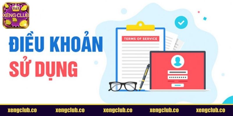 Điều khoản sử dụng về tài khoản người dùng
