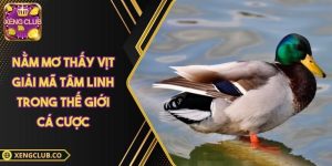 nằm mơ thấy vịt