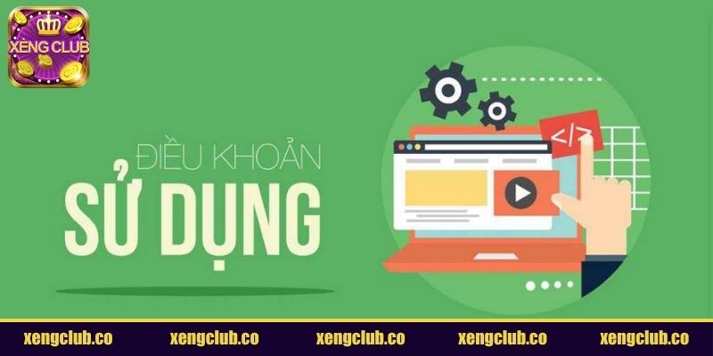 Sơ bộ điều khoản sử dụng Update 2025